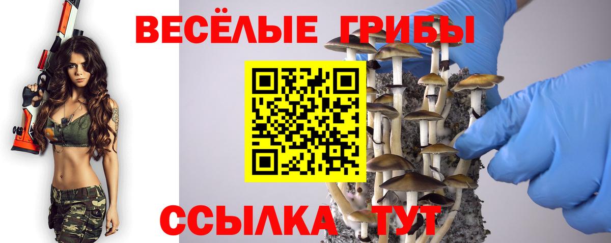 Галлюциногенные грибы GOLDEN TEACHER  Галлюциногенные грибы Magic Shrooms  Янаул  Вход с VPN 